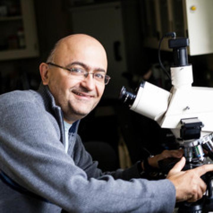  Alfonso Abizaid